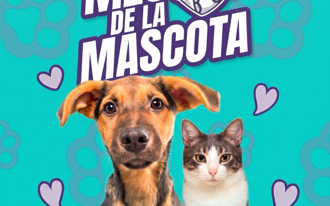 Mascotas